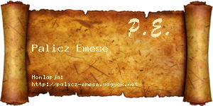 Palicz Emese névjegykártya